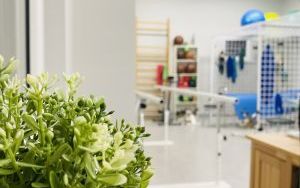 Gabinet rehabilitacji w Przychodni Leśnej w Bydgoszczy (4)